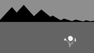 ОСНОВЫ КОМПОЗИЦИИ: Равновесие (симметрия) - PhotoDzen.com