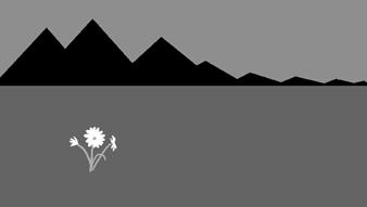 ОСНОВЫ КОМПОЗИЦИИ: Равновесие (симметрия) - PhotoDzen.com