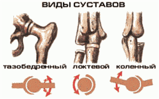 Типы движений в суставах