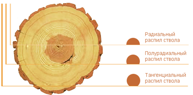 Радиальная древесина. Радиальный и тангентальный распил бревна. Распиловка бревна тангенциальный распил. Радиальный и тангенциальный распил древесины. Радиальный и тангенциальный распил древесины отличия.